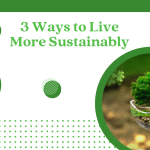3 ways to live more sustainably