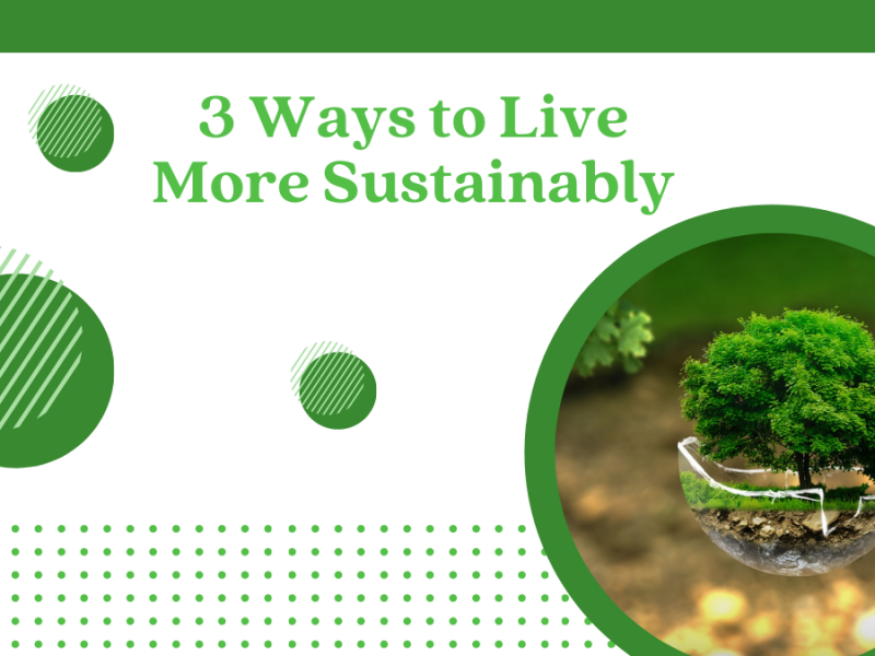 3 Ways to Live More Sustainably 3 Ways to Live More Sustainably