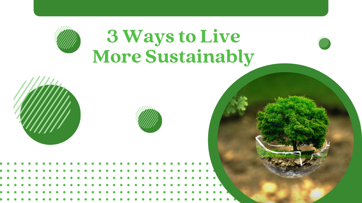 3 Ways to Live More Sustainably