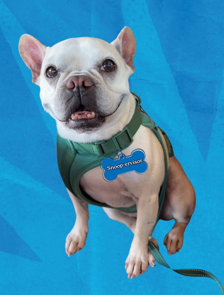 Paws and Purpose: PEFCU Associate Honored for Community Service - PEFCU ...